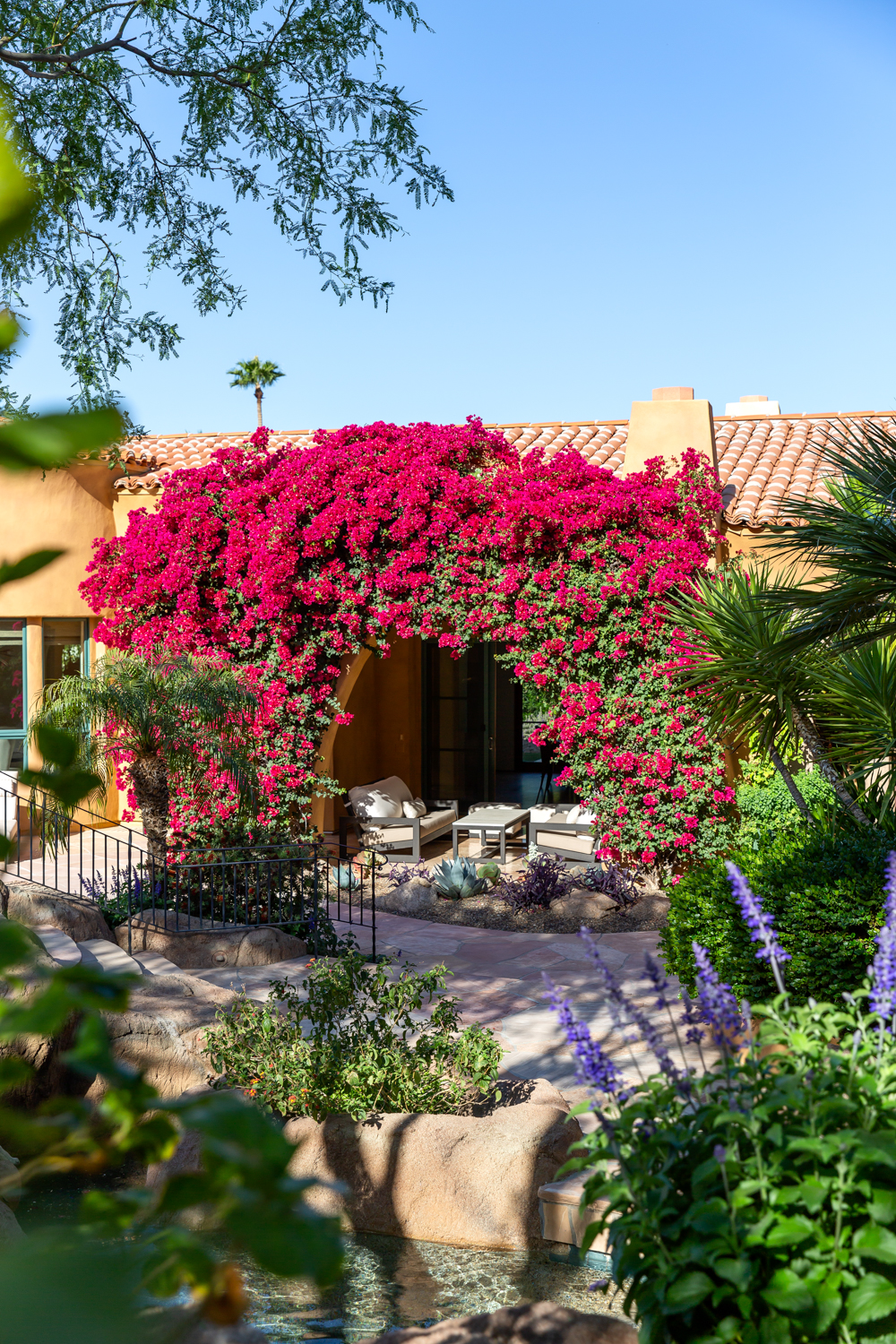 Heights of Paradise_4