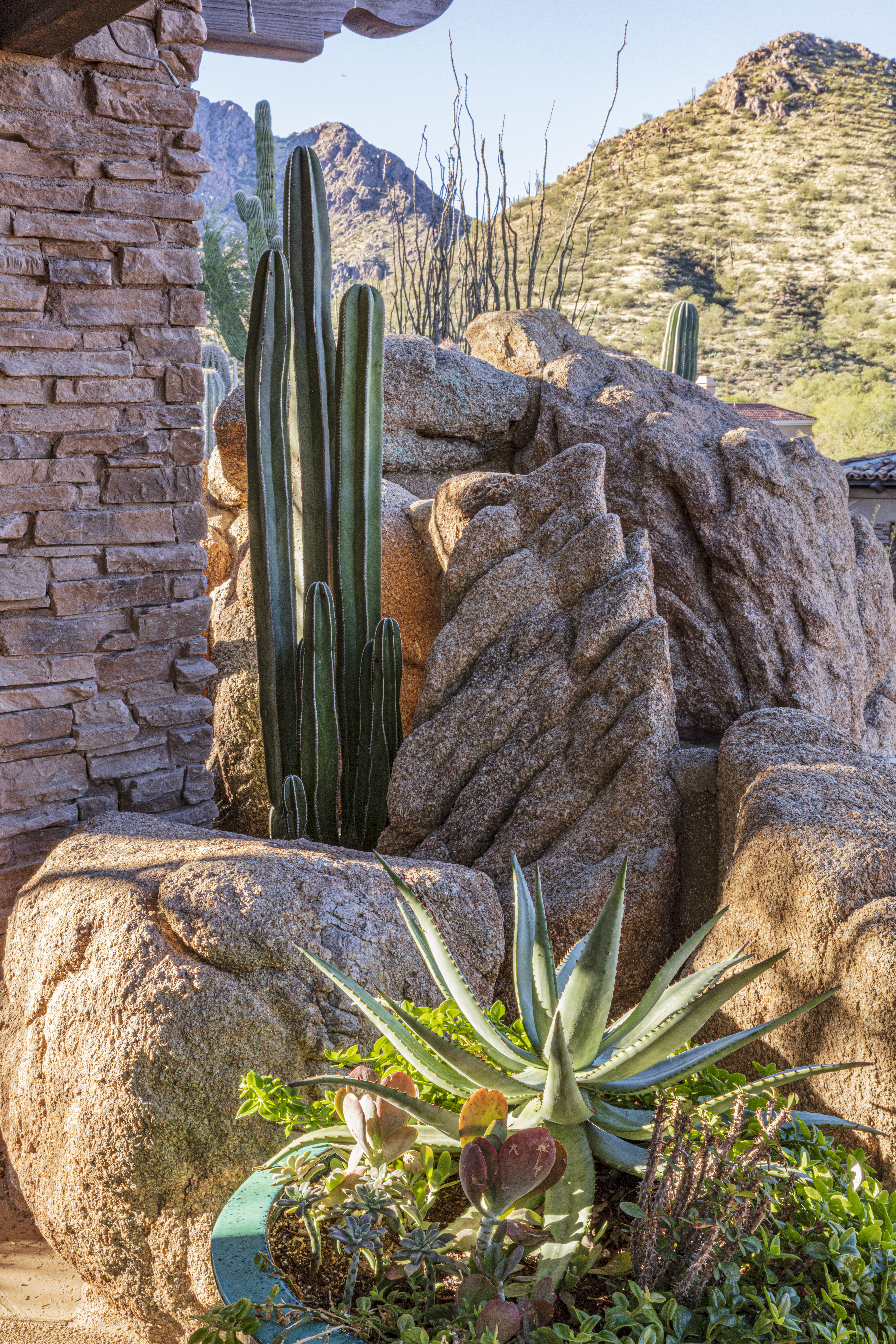 Majestic Haven__4936