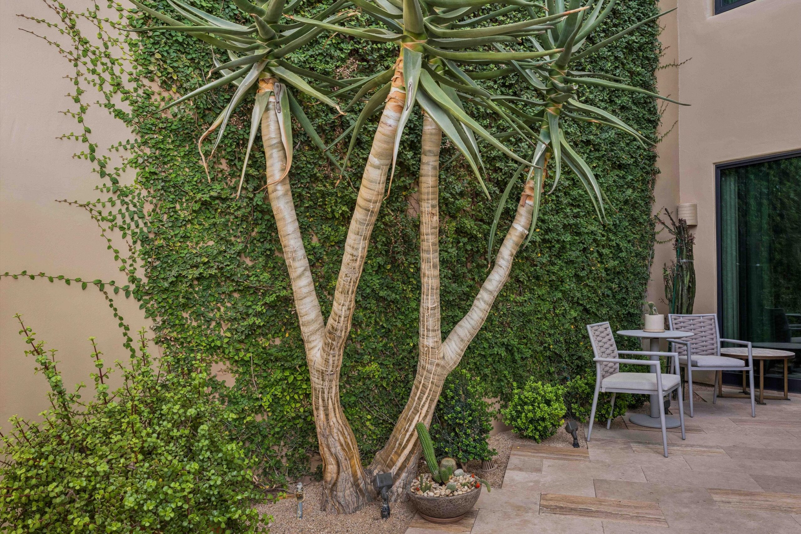14-DSC06511